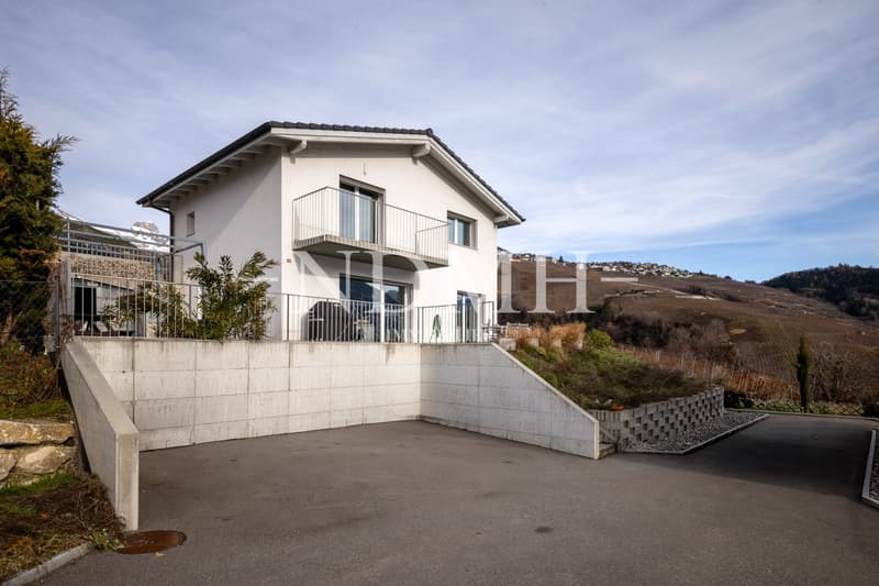 Spacieuse villa individuelle avec grand jardin (9)