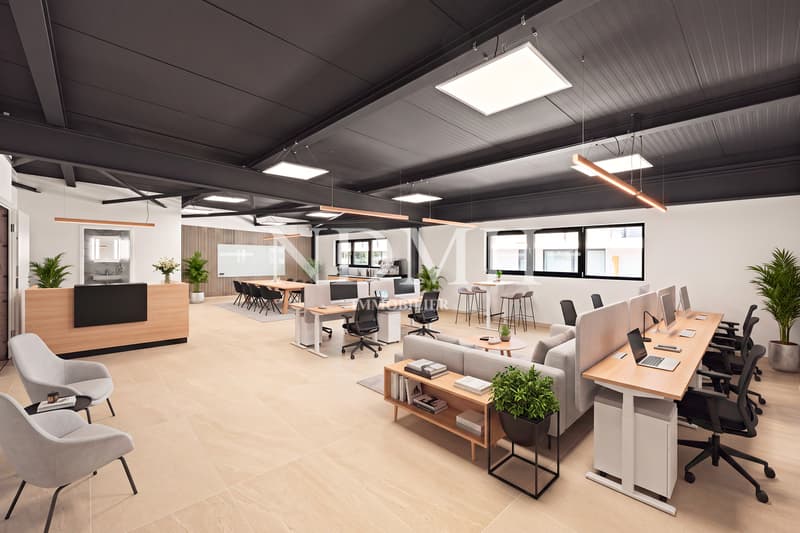 Espace professionnel lumineux et modulable en zone d'activités (1)