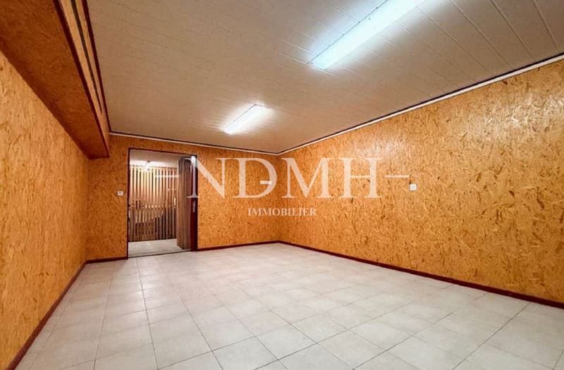 Ensemble de lots commerciaux en PPE (12)