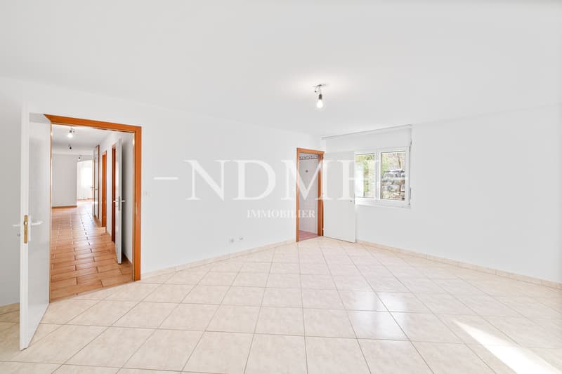 Grande villa avec deux appartements indépendants (6)