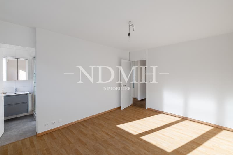 Appartement familial rénové à proximité du centre-ville (12)