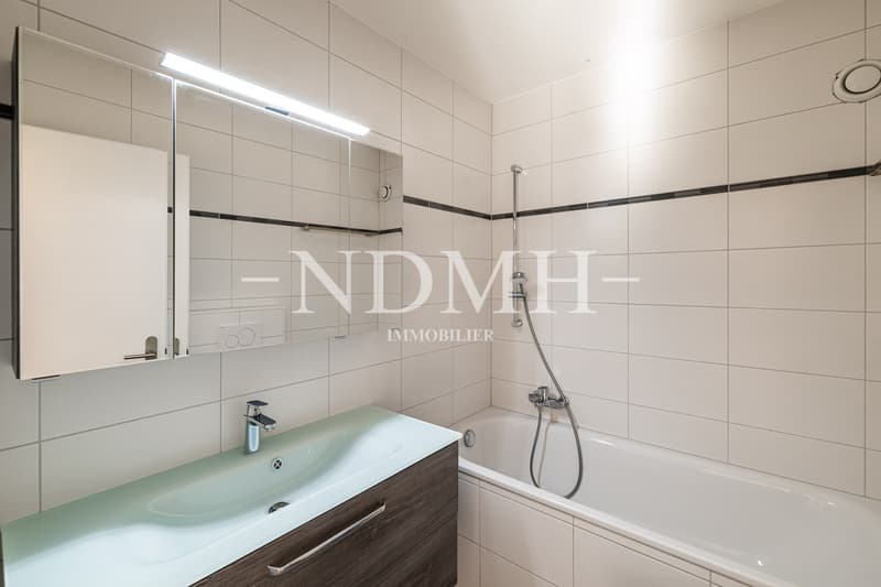 Appartement familial rénové à proximité du centre-ville (13)