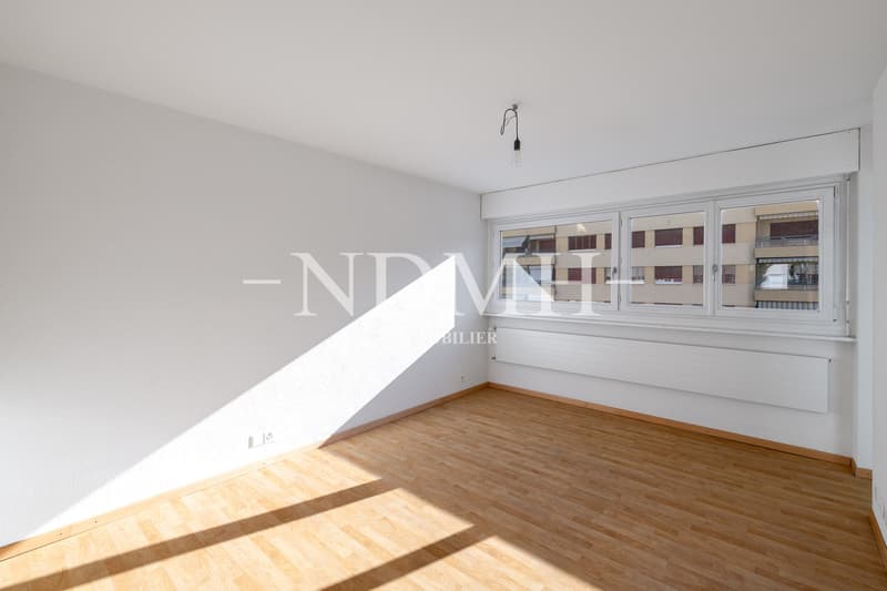 Appartement familial rénové à proximité du centre-ville (11)