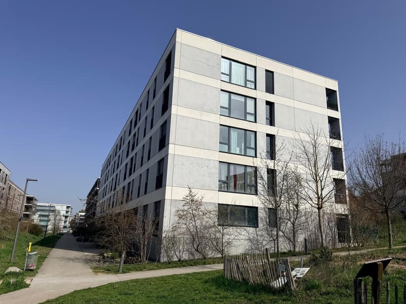Appartement moderne de 4 pièces aux portes de Genève - Meyrin (11)