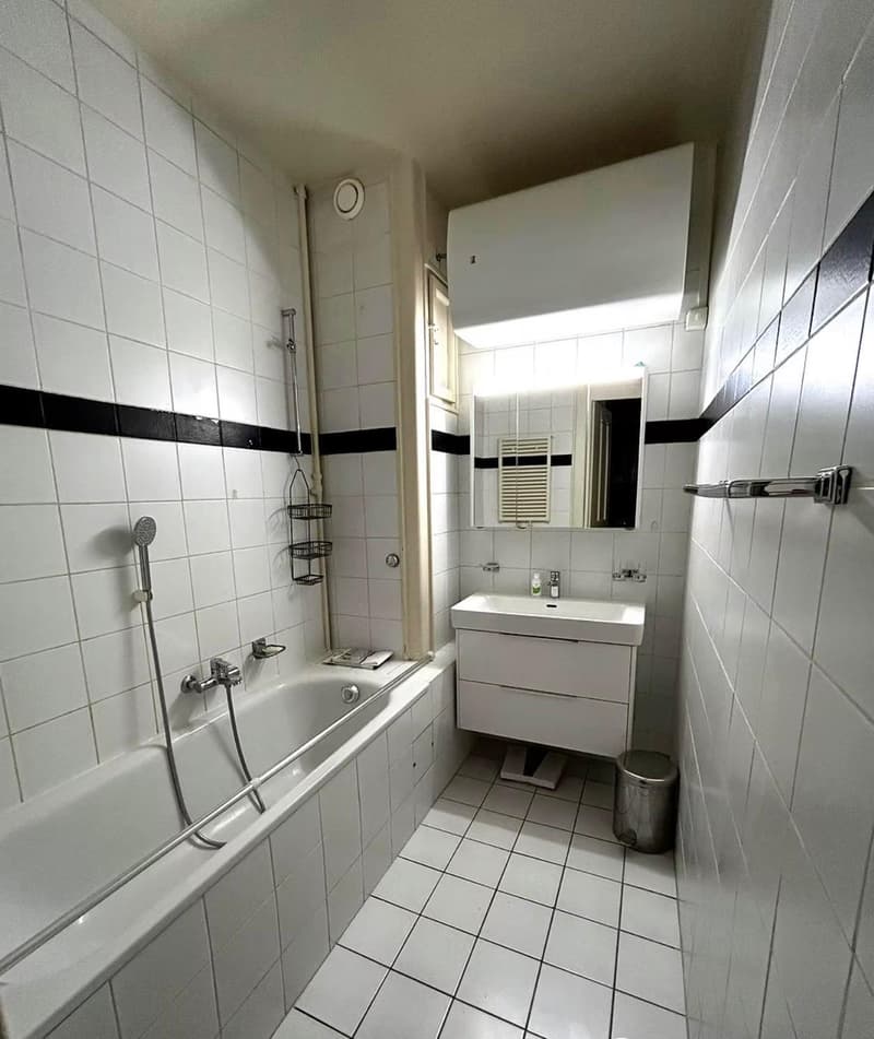 Charmant appartement rénové d'une chambre à Paquis Navigation (6)