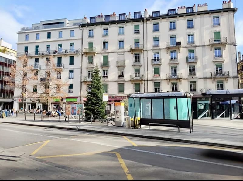 Charmant appartement rénové d'une chambre à Paquis Navigation (7)