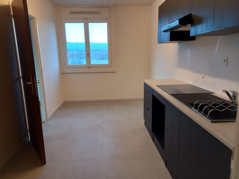 Spacieux appartement de 6 pièces avec une vue panoramique sur le Jura (12)