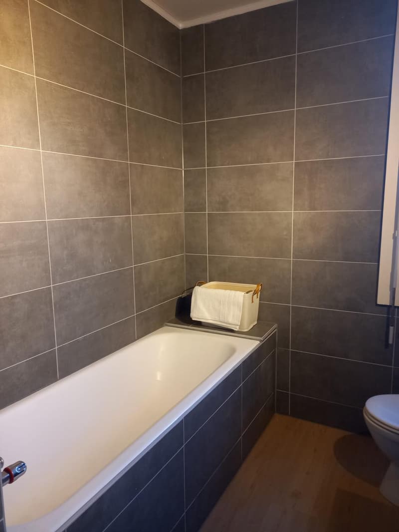 Spacieux appartement de 6 pièces avec une vue panoramique sur le Jura (13)