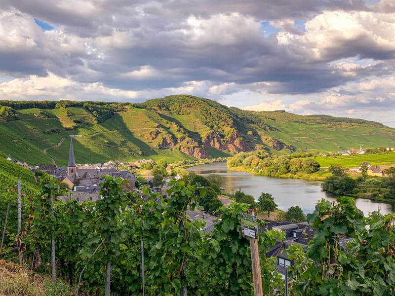 Un domaine d'exception. Une exploitation hôtelière établie. (1)