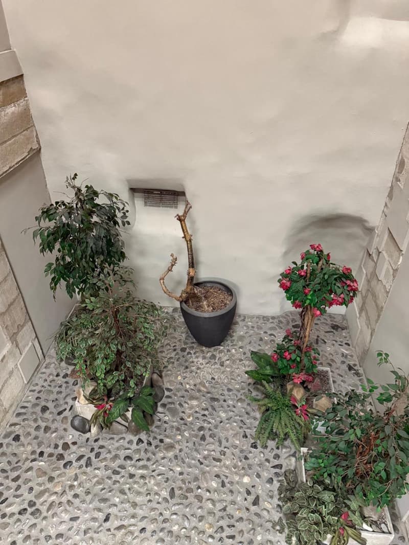 Appartement de Charme au Coeur de la Vieille Ville de Genève - Vente en SI (9)