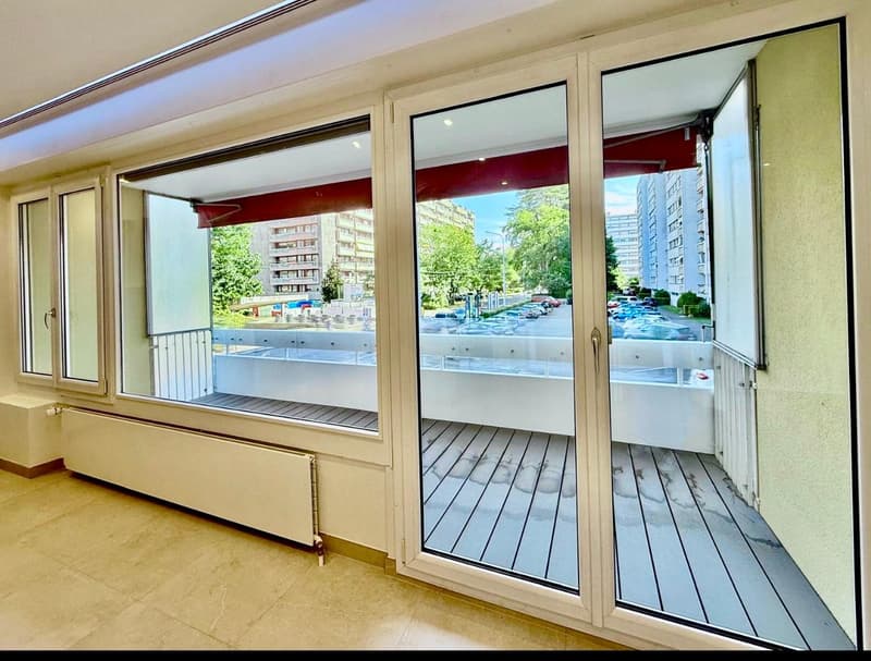 Appartement rénové de 4 chambres à Petit-Saconnex ? Proche des organisations internationales (12)