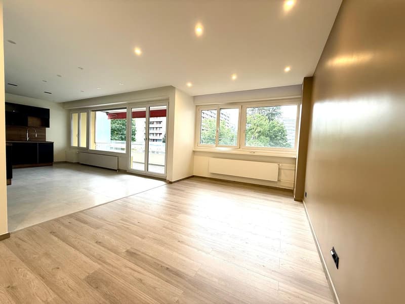 Appartement rénové de 4 chambres à Petit-Saconnex ? Proche des organisations internationales (2)