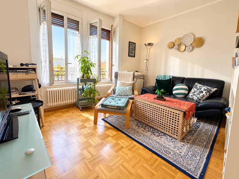Charmant appartement meublé de 2,5 pièces (1)