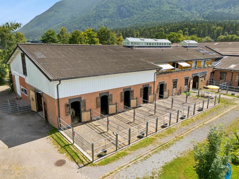 EXCLUSIVE EQUESTRIAN SPORTS FACILITY WITH COMPLETE INFRASTRUCTURE IN MAUREN FL (6)