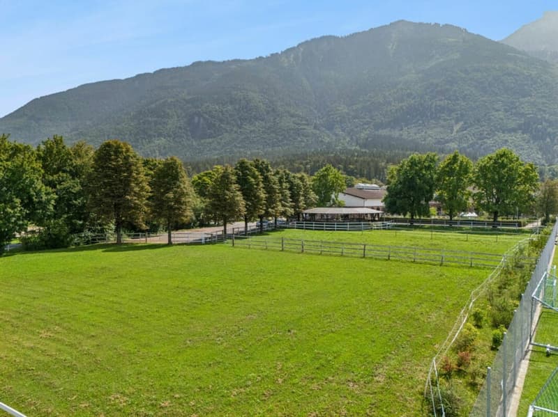 EXCLUSIVE EQUESTRIAN SPORTS FACILITY WITH COMPLETE INFRASTRUCTURE IN MAUREN FL (11)