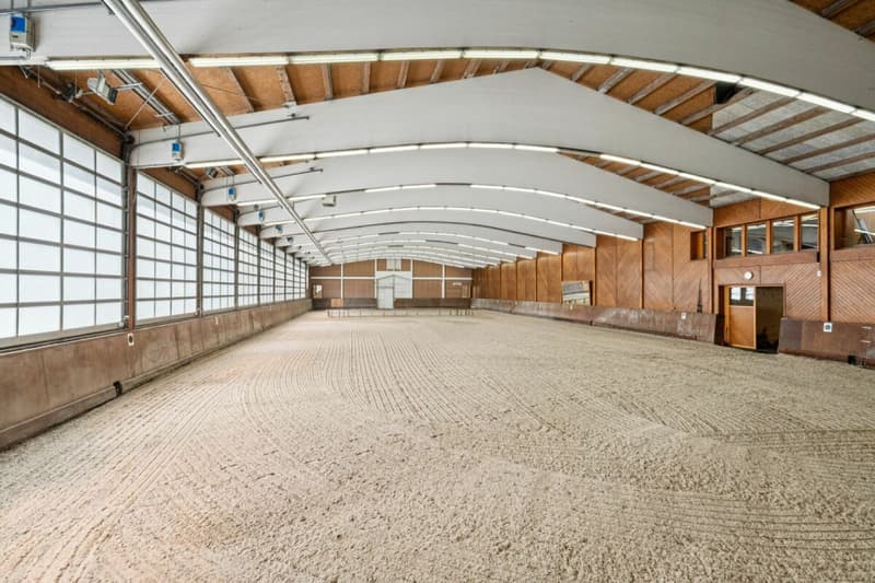 EXCLUSIVE EQUESTRIAN SPORTS FACILITY WITH COMPLETE INFRASTRUCTURE IN MAUREN FL (2)