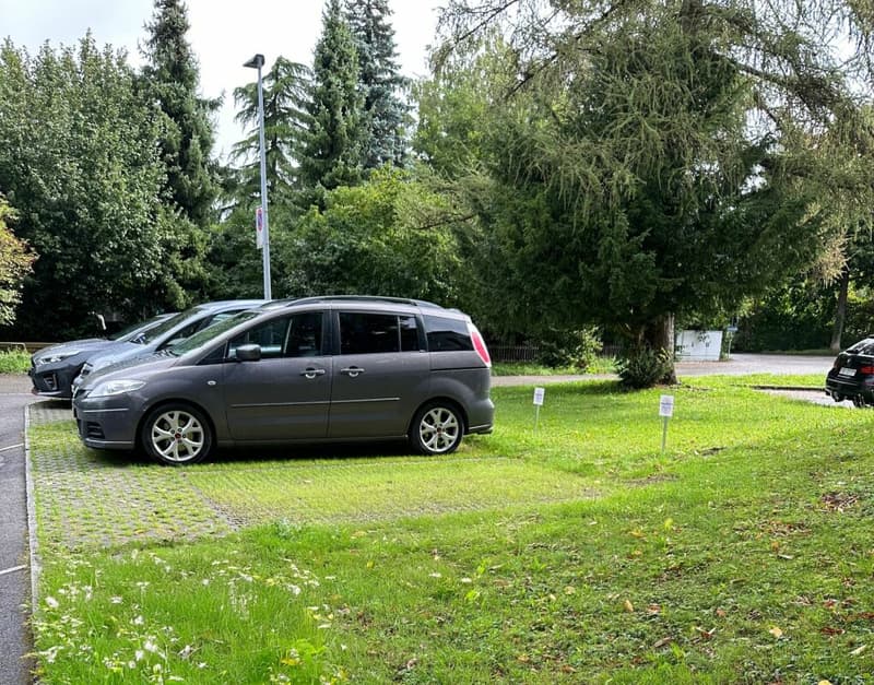 AUSSENPARKPLÄTZE IN GRENCHEN SO ZU VERMIETEN (1)