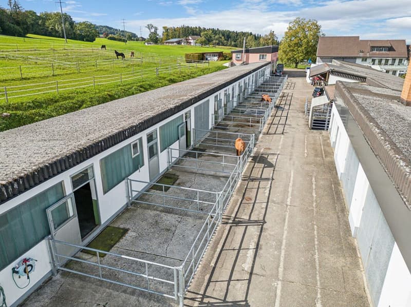 REITSPORTZENTRUM MIT VIELFÄLTIGER INFRASTRUKTUR UND AUSBAUMÖGLICHKEITEN (2)