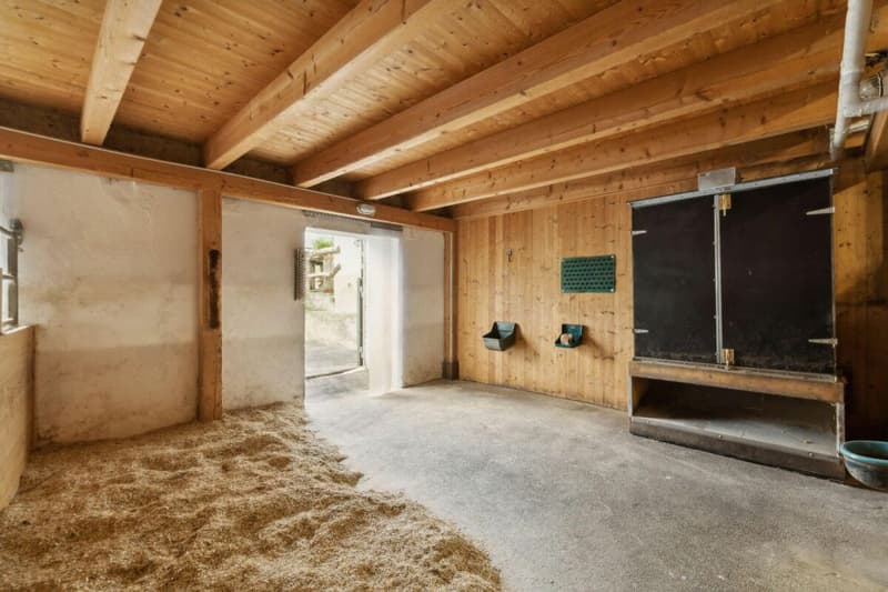KERNSANIERTES BAUERNHAUS MIT AUSBAUPOTENZIAL (15)