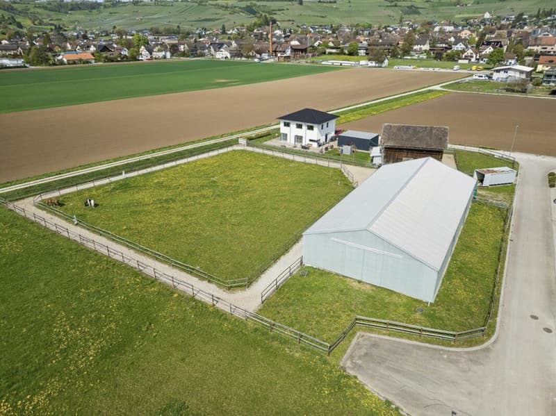 IHR EIGENES PFERDEPARADIES IM SONNIGEN KLETTGAU (10)