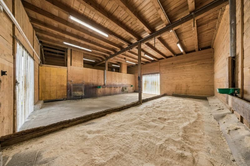IHR EIGENES PFERDEPARADIES IM SONNIGEN KLETTGAU (4)