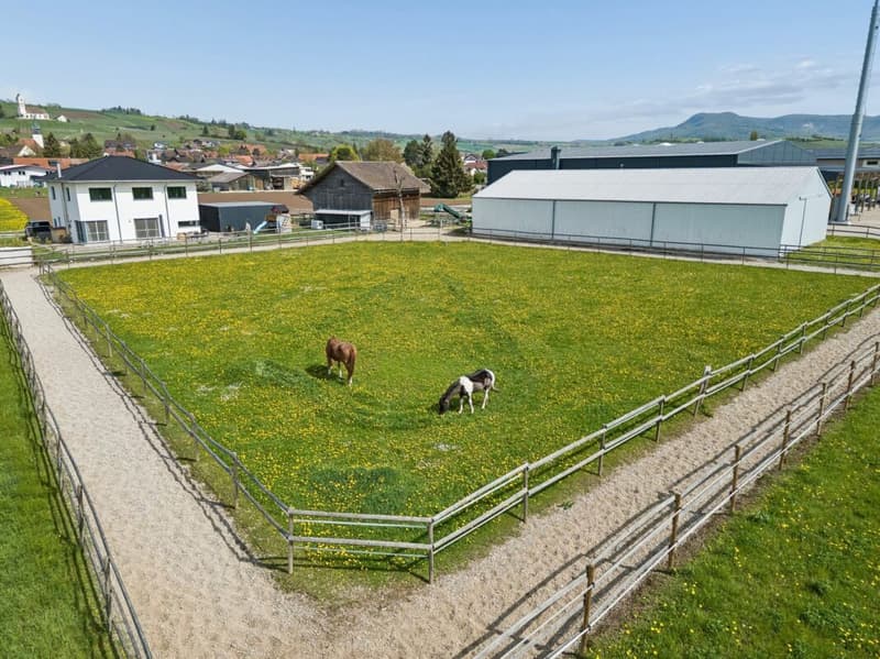 IHR EIGENES PFERDEPARADIES IM SONNIGEN KLETTGAU (2)
