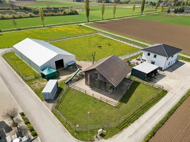 IHR EIGENES PFERDEPARADIES IM SONNIGEN KLETTGAU (1)