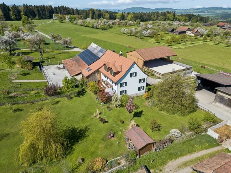 QUALITÄT TRIFFT AUF TRADITION UND LUXUS (1)