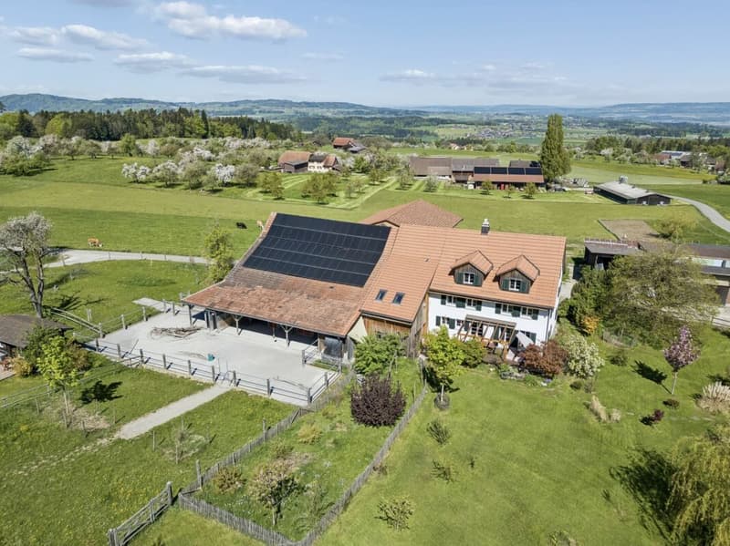 QUALITÄT TRIFFT AUF TRADITION UND LUXUS (9)