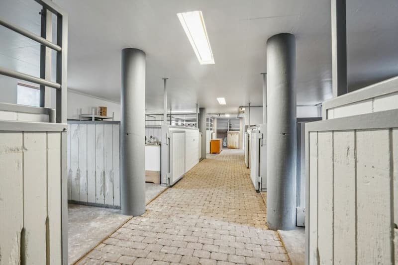 TRAUMHAFTE REITSPORTANLAGE MIT VERSCHIEDENEN BEWEGUNGSFLÄCHEN UND VIEL WEIDELAND IN DOTNACHT (7)