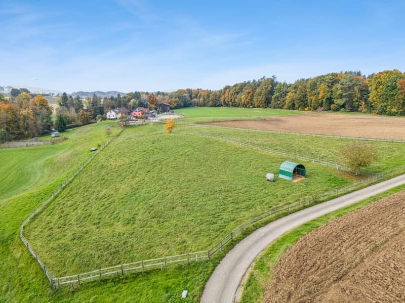 TRAUMHAFTE REITSPORTANLAGE MIT VERSCHIEDENEN BEWEGUNGSFLÄCHEN UND VIEL WEIDELAND IN DOTNACHT (11)