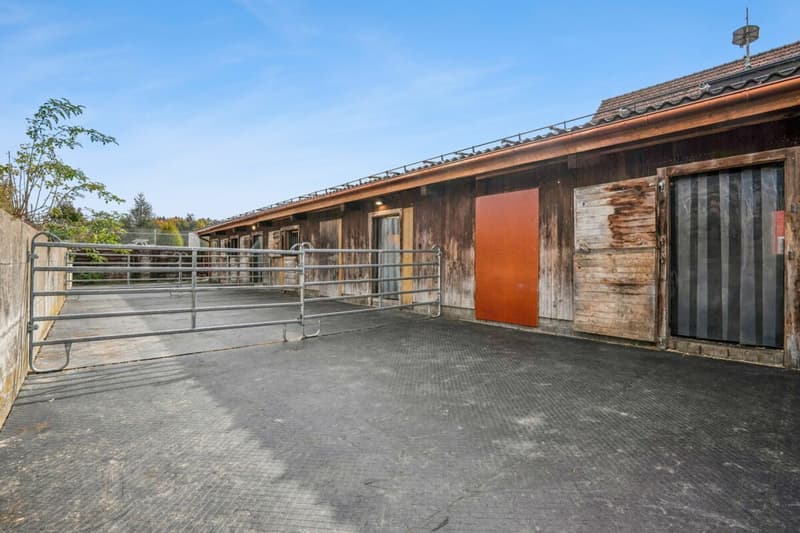 TRAUMHAFTE REITSPORTANLAGE MIT VERSCHIEDENEN BEWEGUNGSFLÄCHEN UND VIEL WEIDELAND IN DOTNACHT (9)
