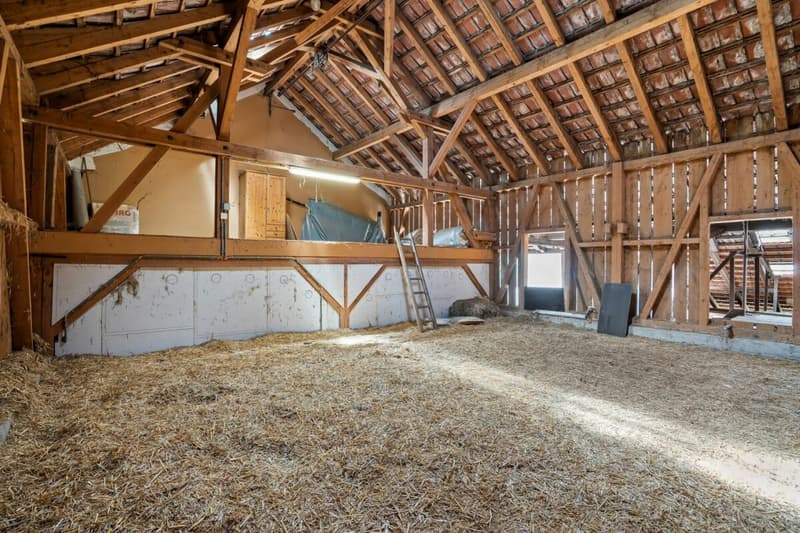 WO PFERDE, NATUR UND WEITSICHT EIN ZUHAUSE FINDEN (7)