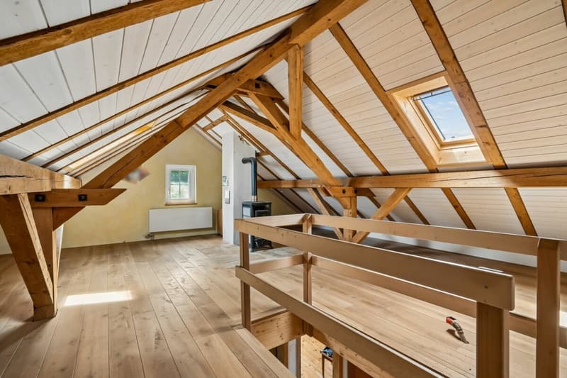 WO PFERDE, NATUR UND WEITSICHT EIN ZUHAUSE FINDEN (4)