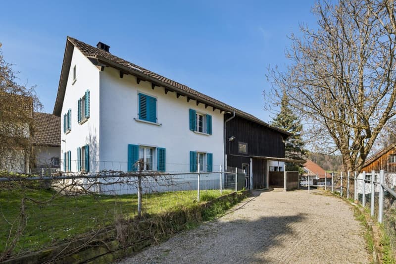 WO PFERDE, NATUR UND WEITSICHT EIN ZUHAUSE FINDEN (1)