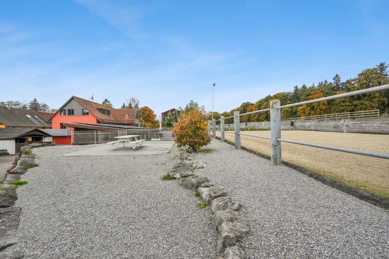 *NEUER PREIS* - FRISCH RENOVIERTES WOHNHAUS MIT REITPLATZ, ROUNDPEN UND GROSSEN WEIDEFLÄCHEN (17)
