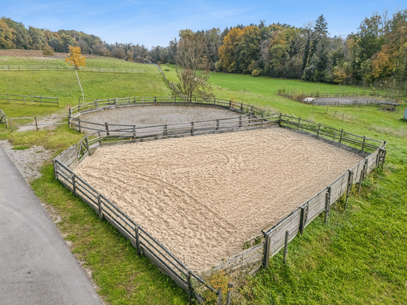 *NEUER PREIS* - FRISCH RENOVIERTES WOHNHAUS MIT REITPLATZ, ROUNDPEN UND GROSSEN WEIDEFLÄCHEN (14)