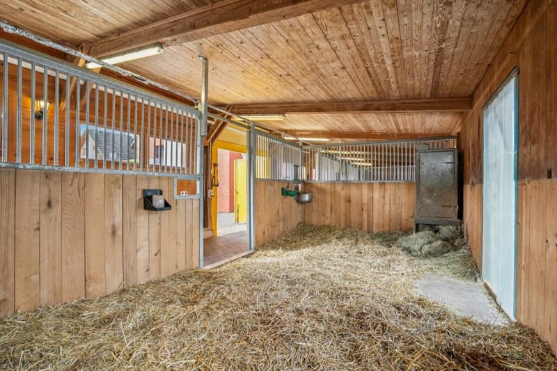 *NEUER PREIS* - FRISCH RENOVIERTES WOHNHAUS MIT REITPLATZ, ROUNDPEN UND GROSSEN WEIDEFLÄCHEN (10)