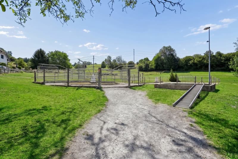 Stall, Reitplatz und Führanlage sowie Weiden direkt am Haus (5)