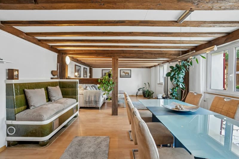 Stall, Reitplatz und Führanlage sowie Weiden direkt am Haus (7)