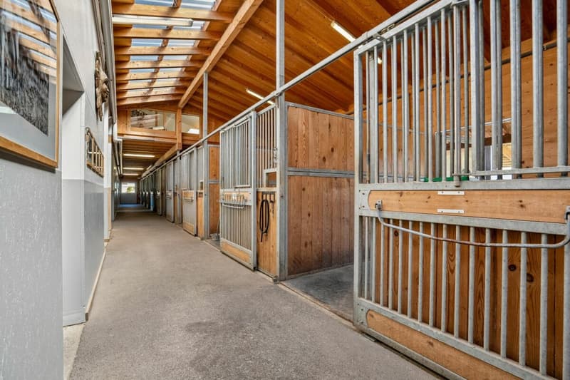 VIELSEITIGE REITSPORTIMMOBILIE MIT WOHNHAUS, BÜROLOFT UND HALB ÜBERDACHTEM REITPLATZ (5)