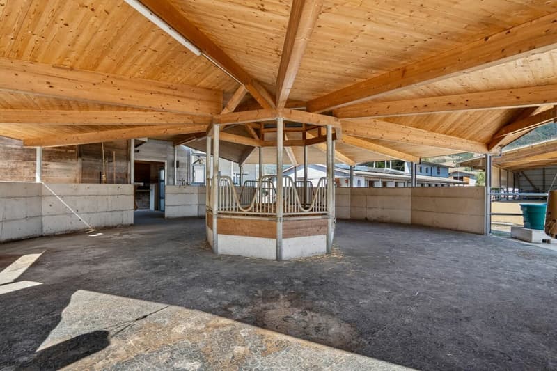 VIELSEITIGE REITSPORTIMMOBILIE MIT WOHNHAUS, BÜROLOFT UND HALB ÜBERDACHTEM REITPLATZ (6)