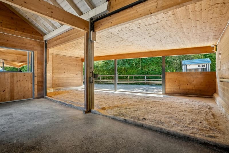 VIELSEITIGE REITSPORTIMMOBILIE MIT WOHNHAUS, BÜROLOFT UND HALB ÜBERDACHTEM REITPLATZ (7)