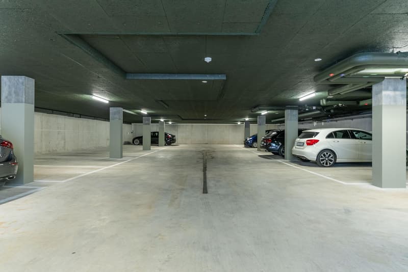 Nie mehr Parkplatzsuche sicherer Einstellplatz im Neubau "Loomi" (3)