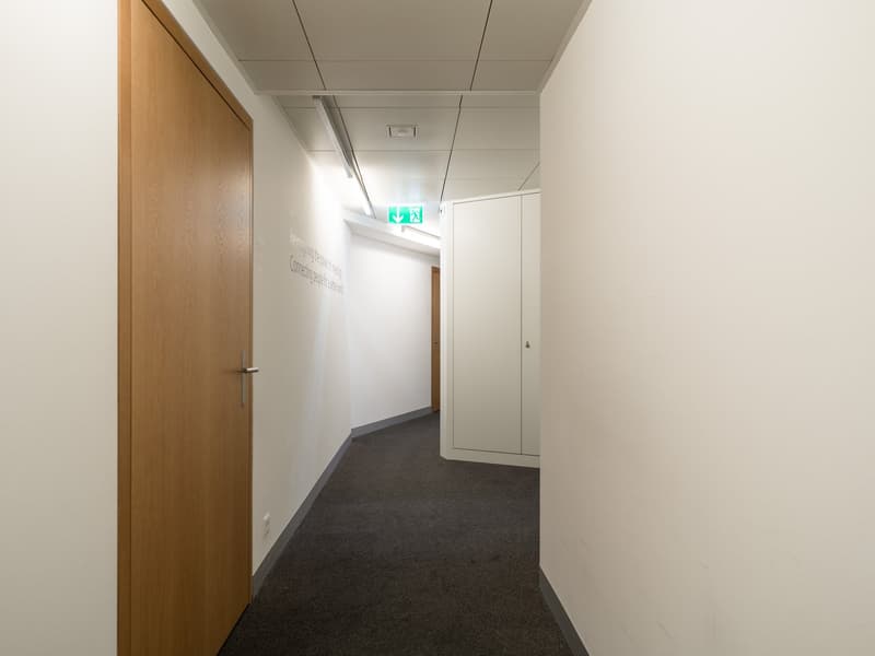 Ihr neuer Büro-Standort am Löwenplatz in Zürich zu vermieten (4)