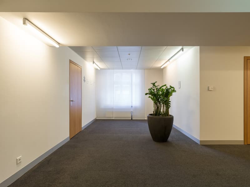 Ihr neuer Büro-Standort am Löwenplatz in Zürich zu vermieten (9)