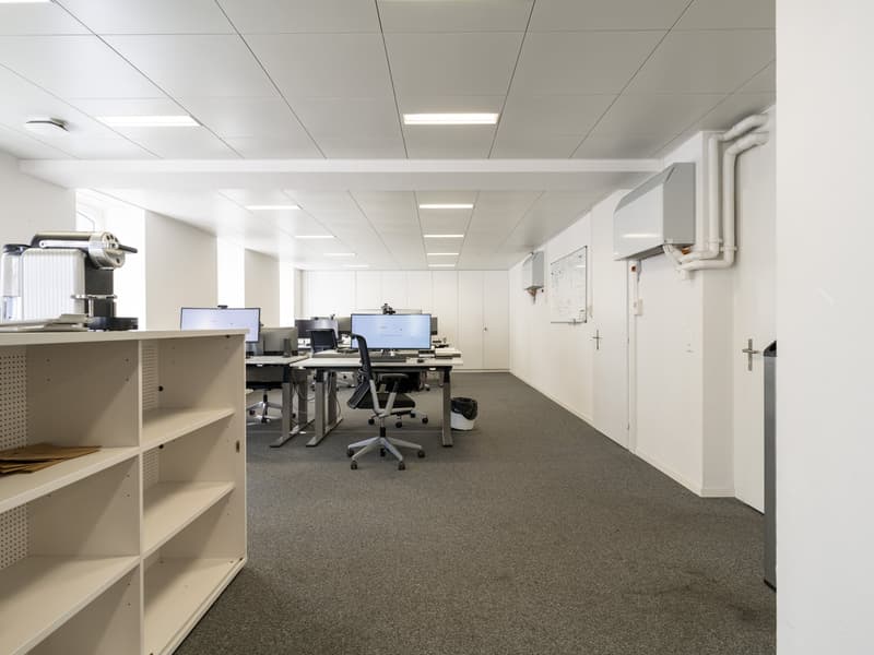 Ihr neuer Büro-Standort am Löwenplatz in Zürich zu vermieten (10)