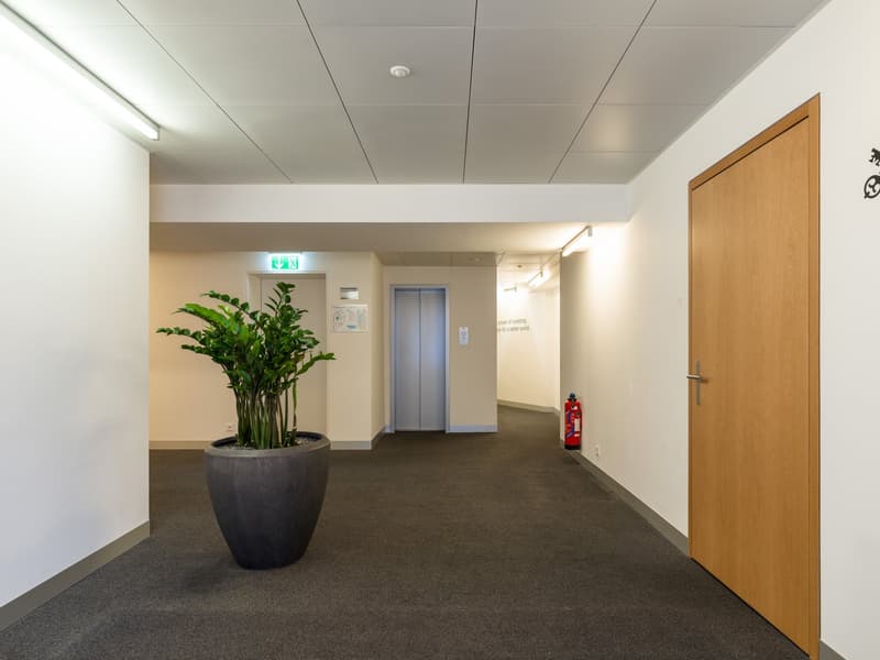 Ihr neuer Büro-Standort am Löwenplatz in Zürich zu vermieten (7)
