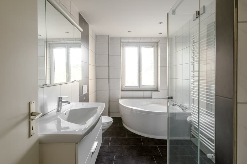 Schöne 4.5 Zimmerwohnung im Iselin-Quartier (5)