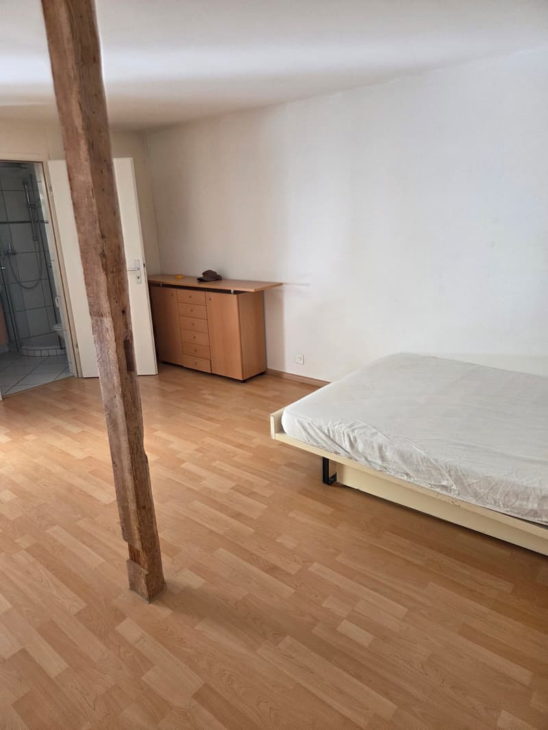 Gemütliches Studio mit Balkon an der Hauptstrasse in Binningen (4)